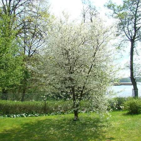 Letnisko Zielony Zakatek Sila Exterior photo